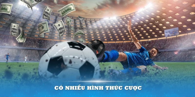 Có nhiều hình thức trong loại hình kèo rung để bạn lựa chọn chơi